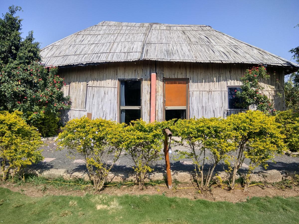 The Hillview Camp Resort Sasan Gir Dış mekan fotoğraf